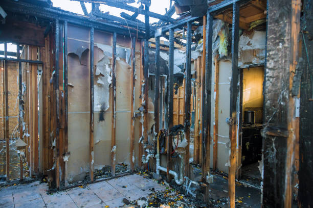 Professional Fire Damage Assessment technician working in North Fork, AZ